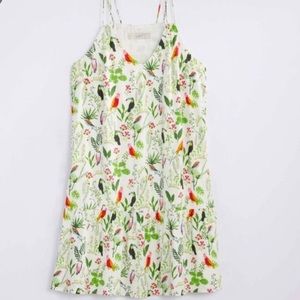 Loft Toucan Flounce swing dress